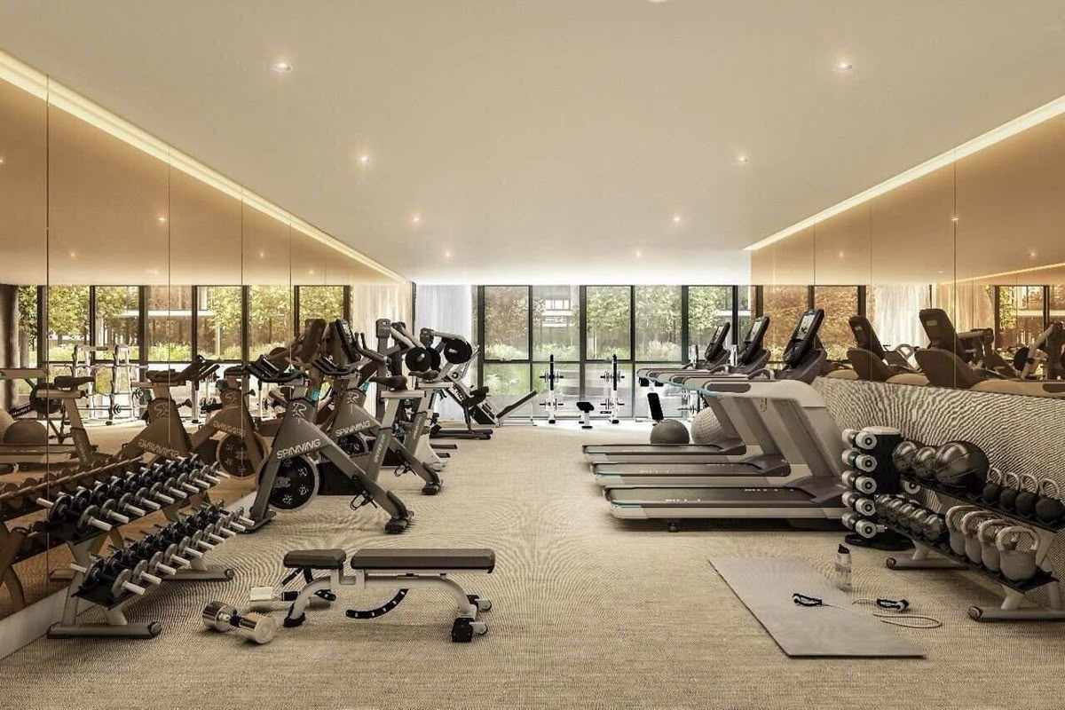 Gymnasium